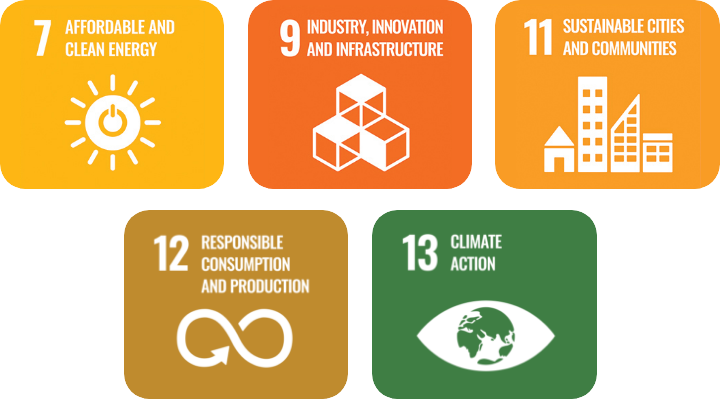 The Sustainable Development Goals