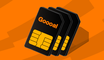 goal